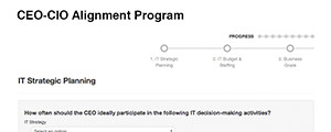 CEO & CIO Alignment Survey Thumbnail