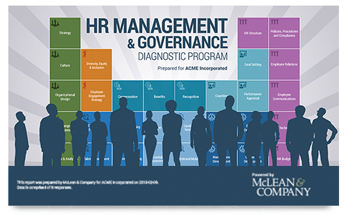 HR Management and Governance Diagnostic